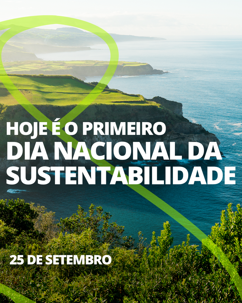 Brasil dá primeiros passos para regularização de cassinos como Portugal fez  - Jornal Mundo Lusíada